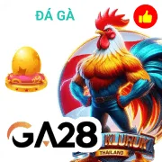 betcom Game 09